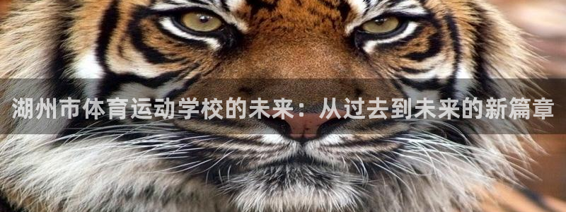 千亿国际官网下载平台注册要钱吗：湖州市体育运动学校的