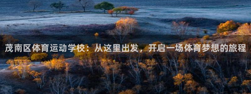千亿国际官网下载平台注册流程视频：茂南区体育运动学校