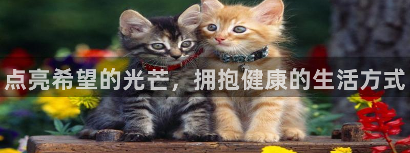 千亿国际官方正版app娱乐下载：点亮希望的光芒，拥抱