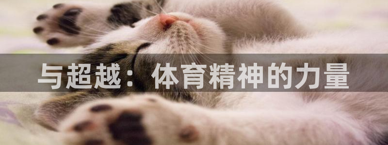 千亿国际官网下载招商：与超越：体育精神的力量