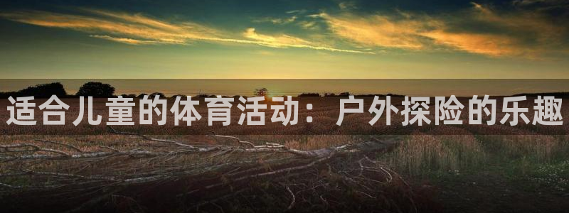 千亿国际官网下载平台假的吗是真的吗吗：适合儿童的体育活动：户
