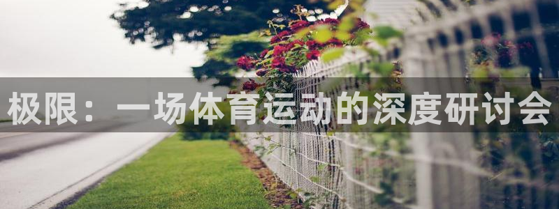 千亿国际官方正版app娱乐40996：极限：一场体育运动的深