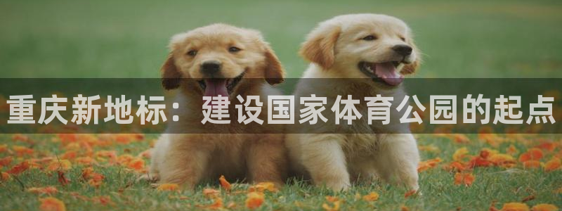 千亿国际官网下载平台注册流程视频：重庆新地标：建设国