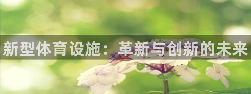 海南千亿国际官网下载发展怎么样：新型体育设施：革新与