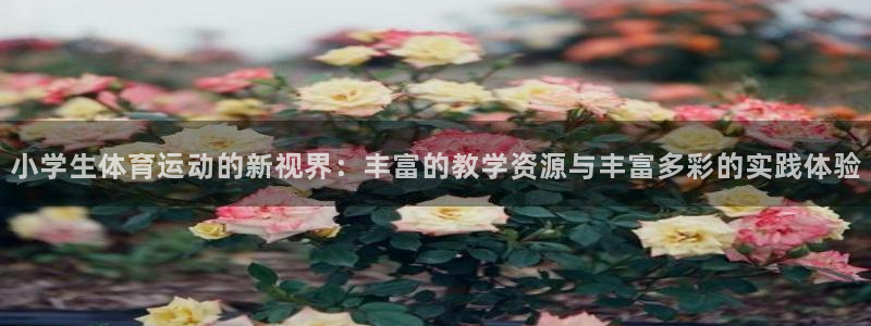千亿国际官方正版app集团官网首页网址：小学生体育运动的新视