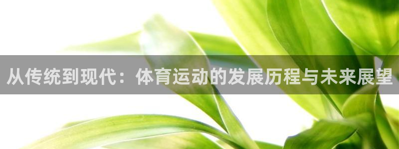 千亿国际官方正版app神州：从传统到现代：体育运动的发展历程