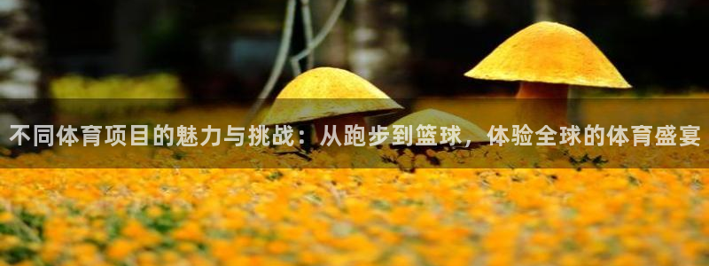 千亿国际官网下载招商电话地址：不同体育项目的魅力与挑战：从跑