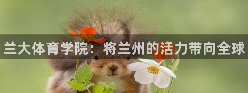 千亿国际官方集团官网
