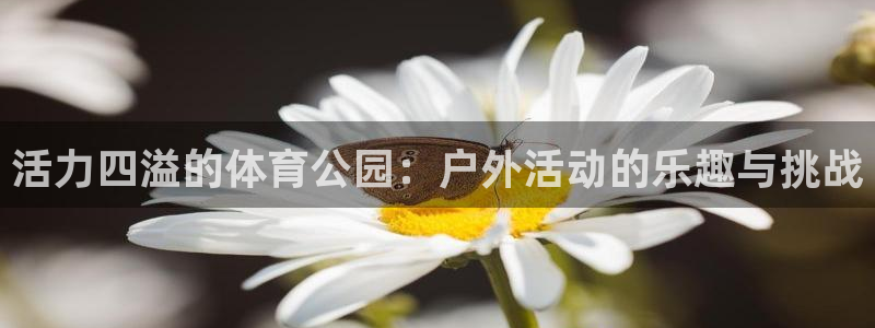 千亿国际官方正版app娱乐首页网站大全：活力四溢的体