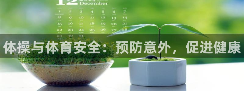 德国千亿国际官方正版app集团：体操与体育安全：预防意外，促