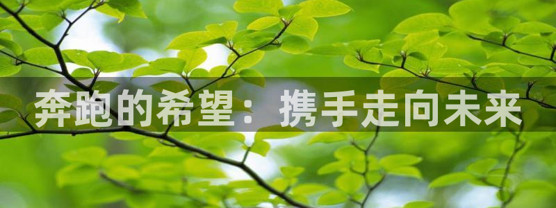 千亿国际官网下载招商电话地址是多少：奔跑的希望：携手走向未来